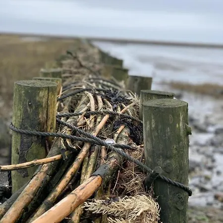 Daire Haus-metropol-137-ob *