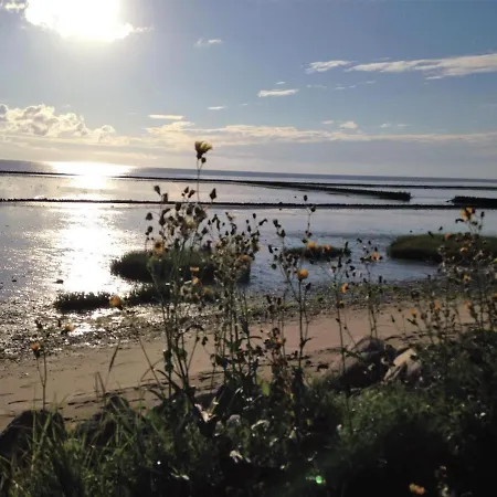 Daire Haus-metropol-137-ob